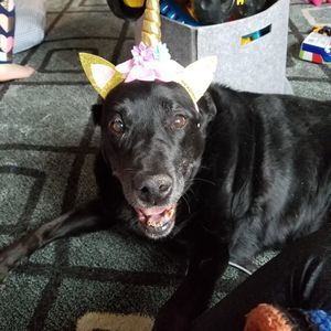 Meet your Posher, Heather